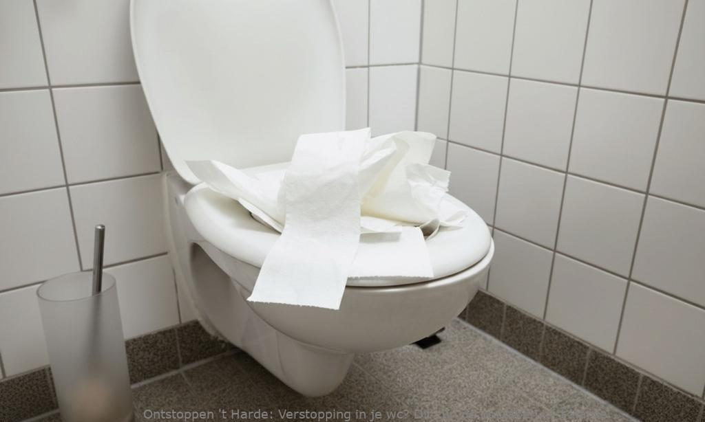 Verstopping in je wc? Dit zijn de oorzaken in ‘t Harde