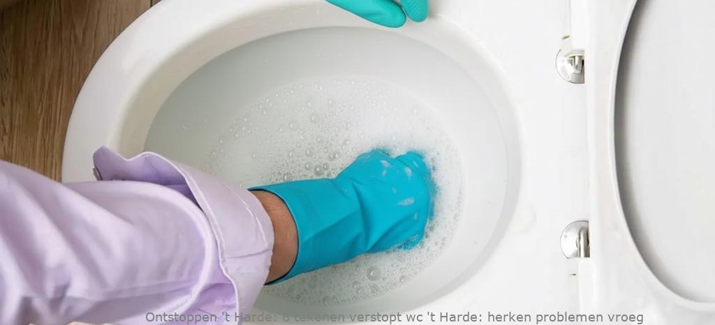 6 tekenen verstopt wc ‘t Harde: herken problemen vroeg