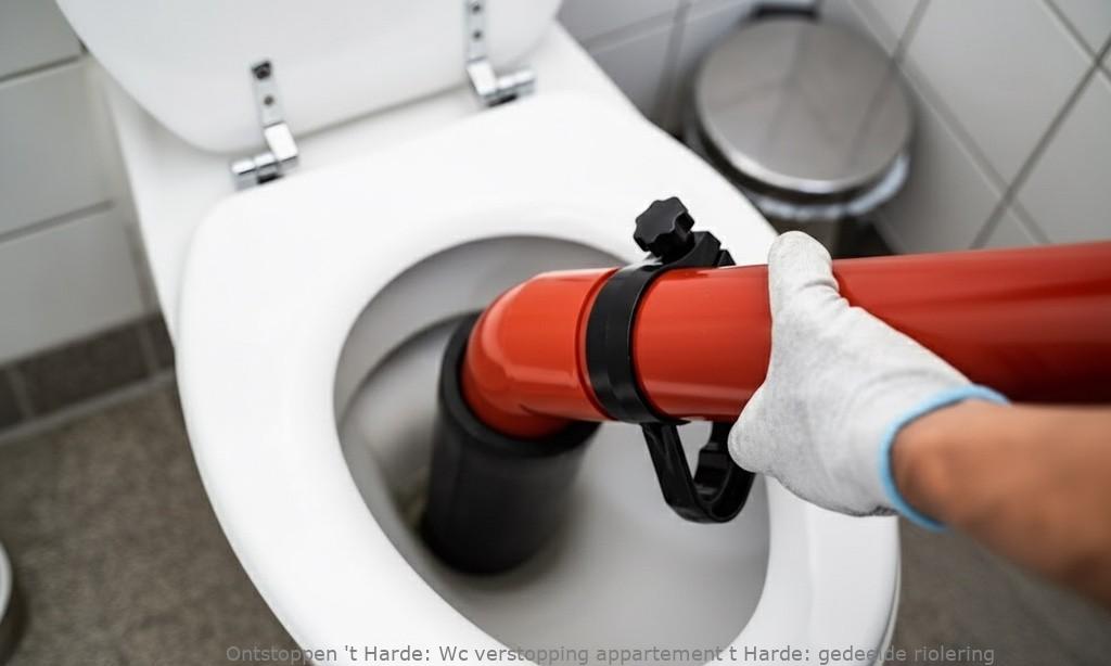 Wc verstopping appartement t Harde: gedeelde riolering