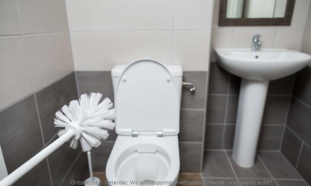 Wc ontstoppingsmethodes t Harde: wat werkt écht?